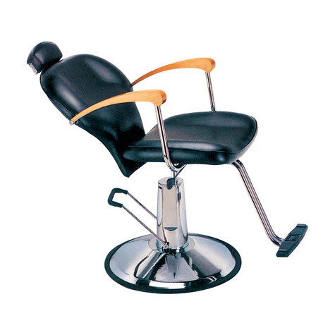 BEAUTY SALON STYLING CHAIR